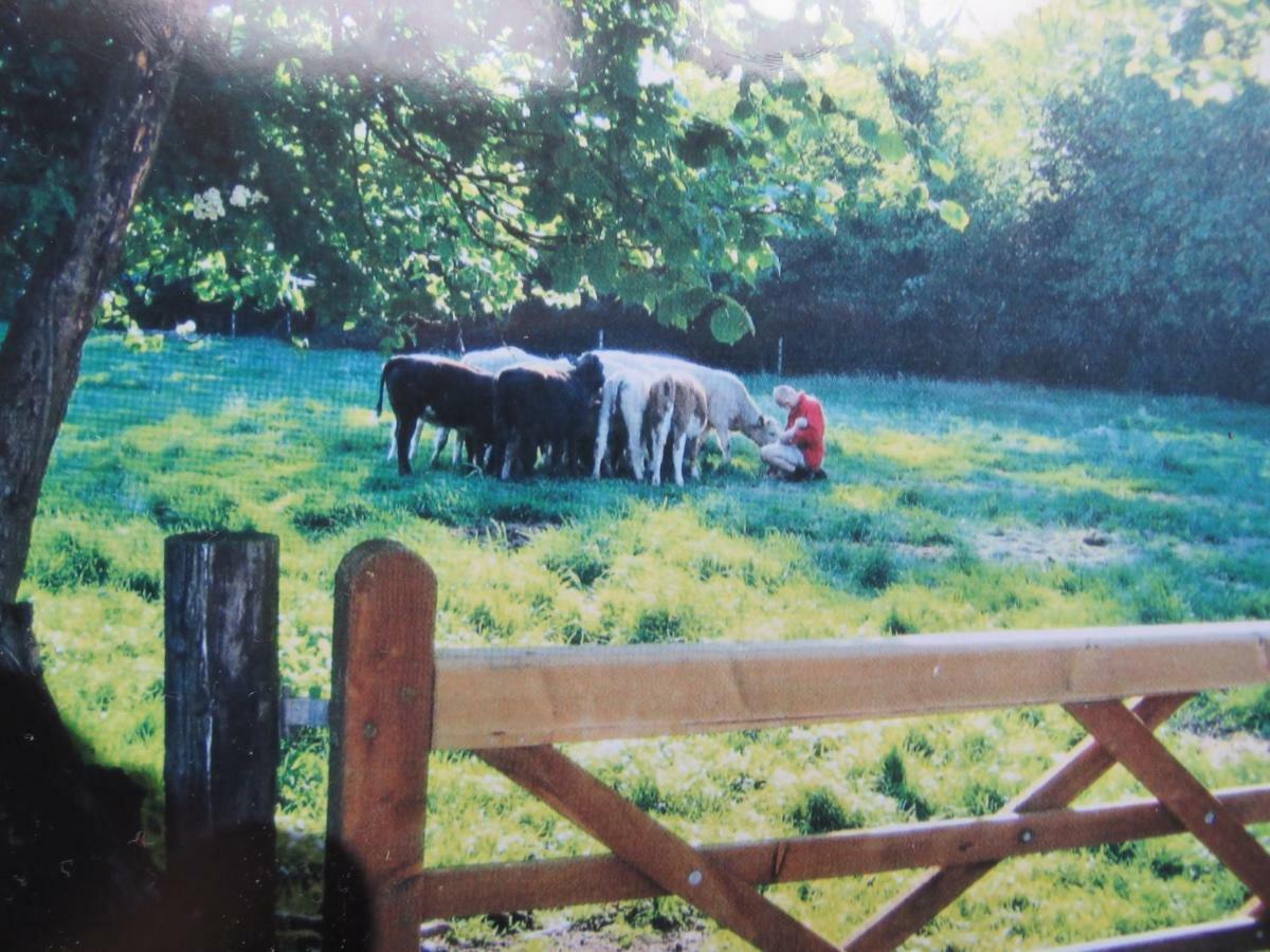 Bed and Breakfast Corner Farm Crewe Exterior foto